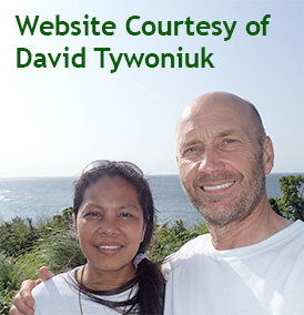 Website Courtesy of David Tywoniuk