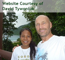 Website Courtesy of David Tywoniuk